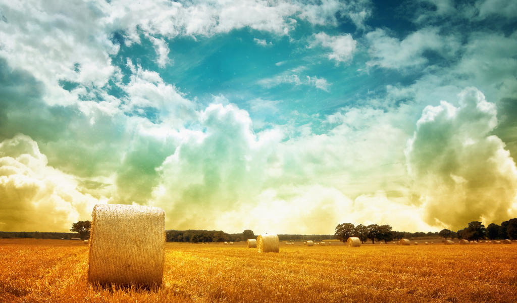 Тюки сена на поле
