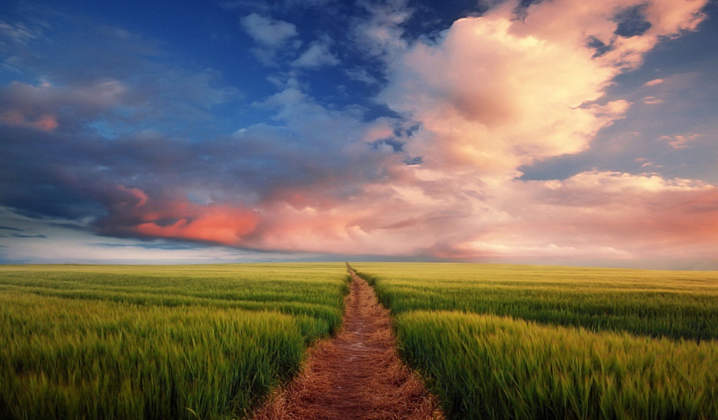 Тропинка через поле