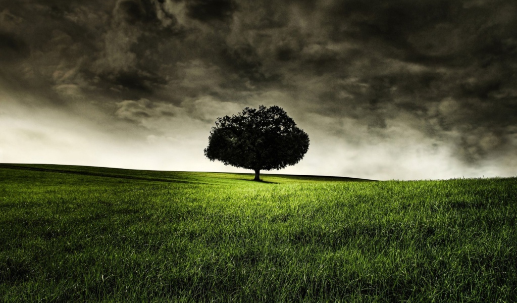 Запретное дерево Эдема