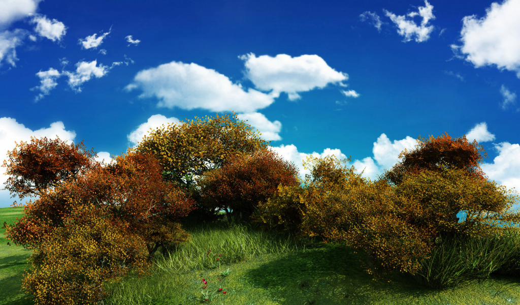 Кустарники на фоне голубого неба
