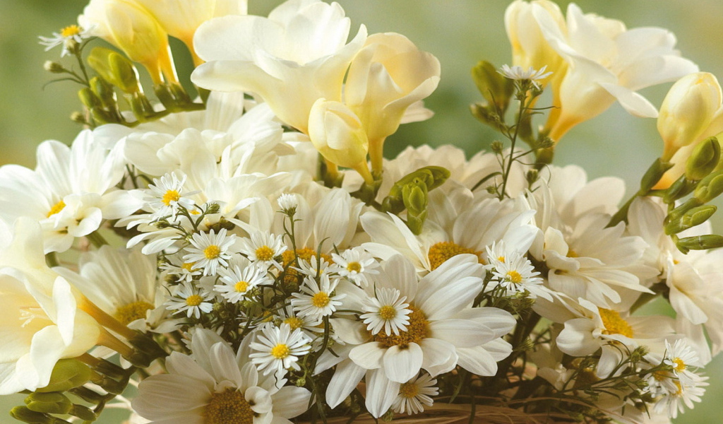 Нежный букет