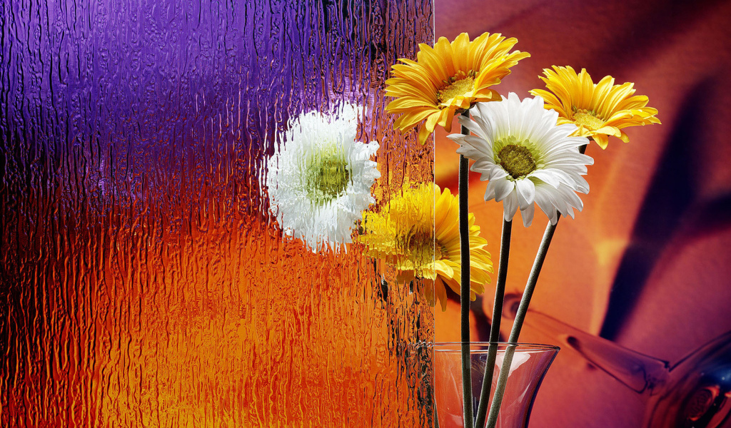 Герберы в вазе