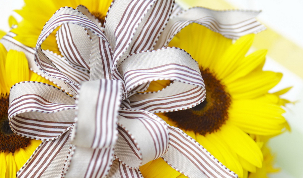 Солнечный подарок