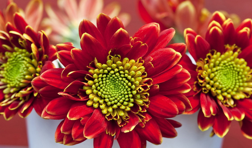 Летний букетик