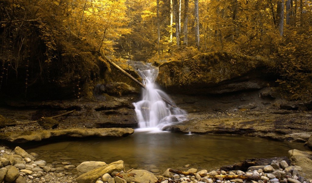 Водопад в желтом лесу