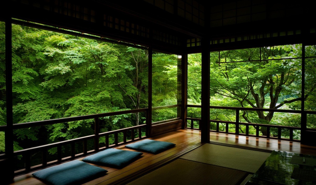 Среди лесной зелени