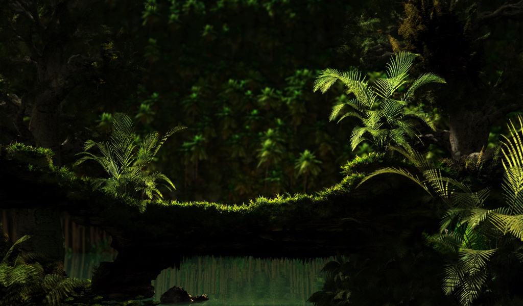 Тропический лес