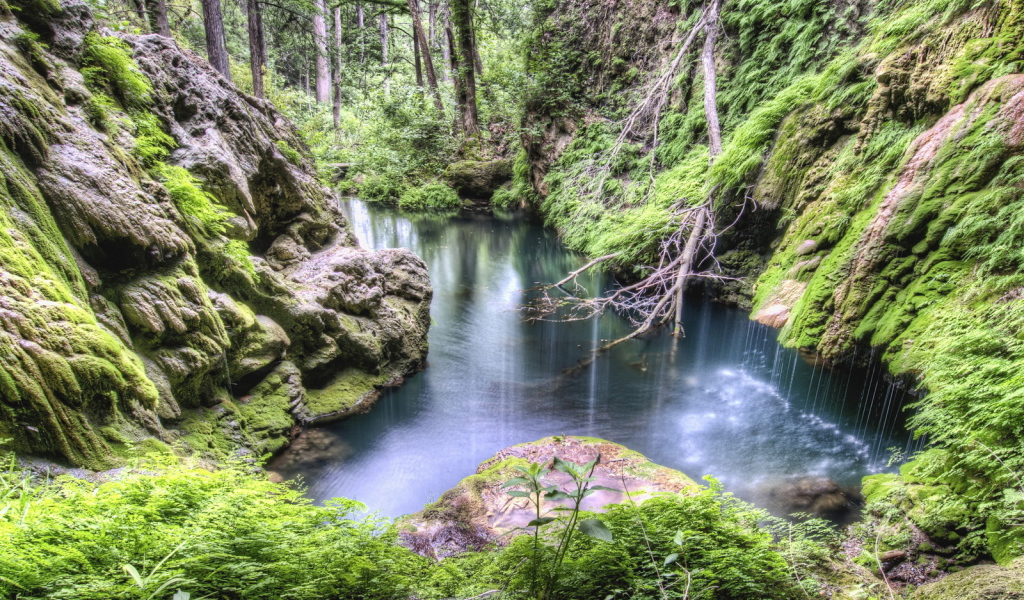 Лес, каменные склоны, ручей