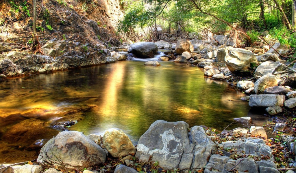 Лесной ручей