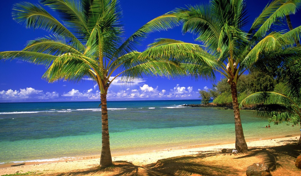 Пальмы, остров, пляж