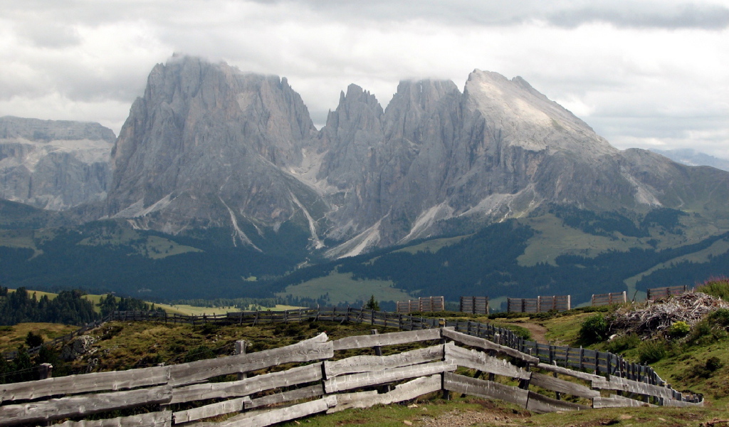 Забор уходящий ввысь