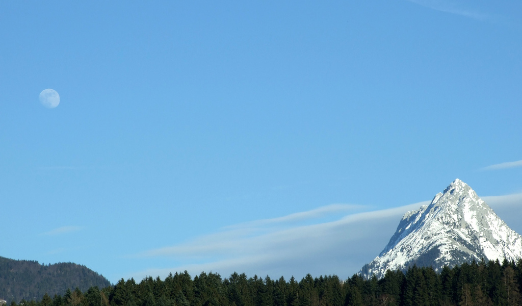 Гора над лесом