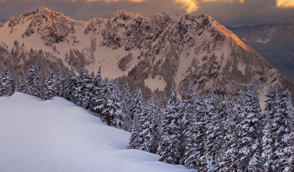 Горная свежесть