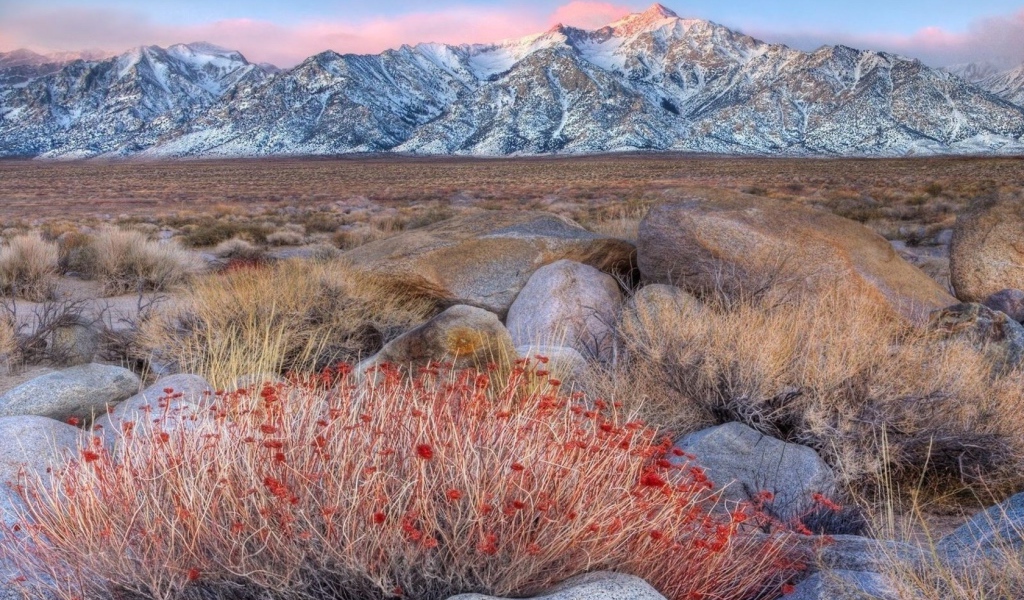 Горы среди пустыни