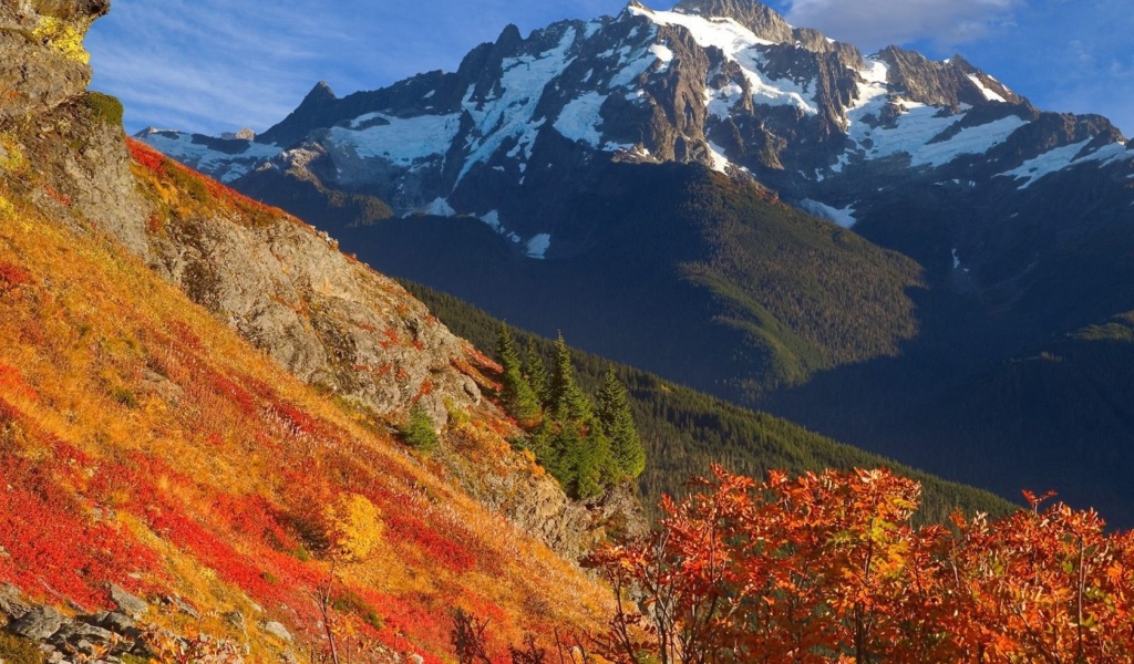 Оранжевый склон