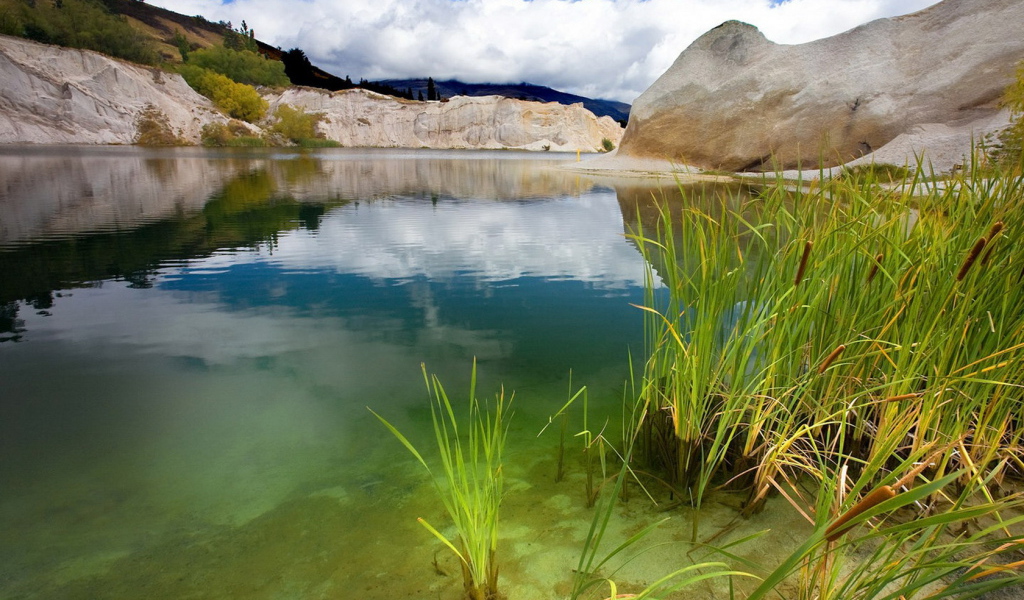 Зеленая вода