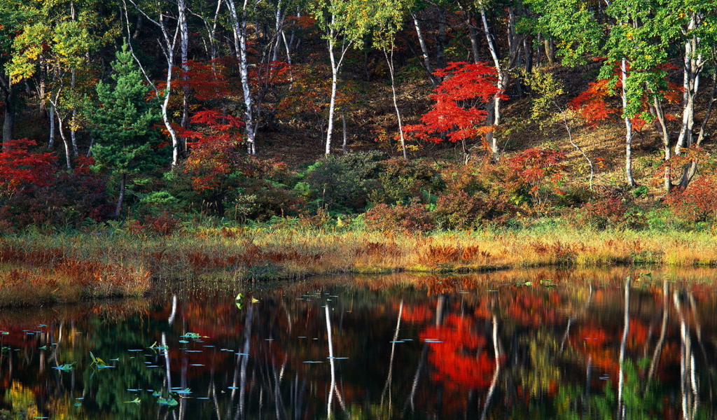 Пейзаж осени