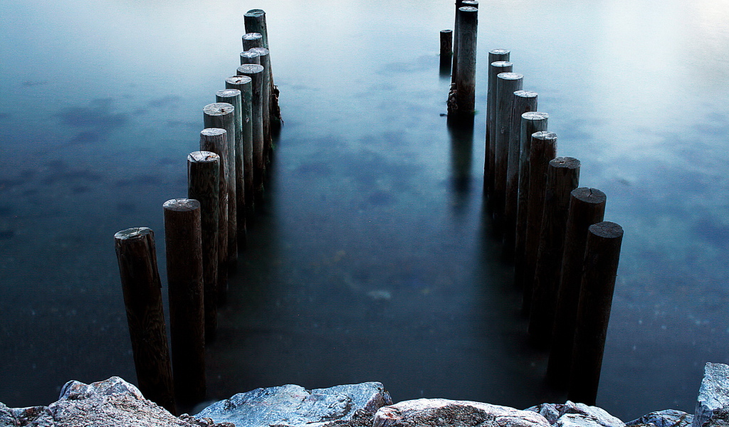 Бревна в воде