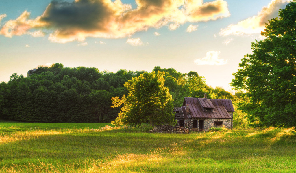 Старый домик на поляне