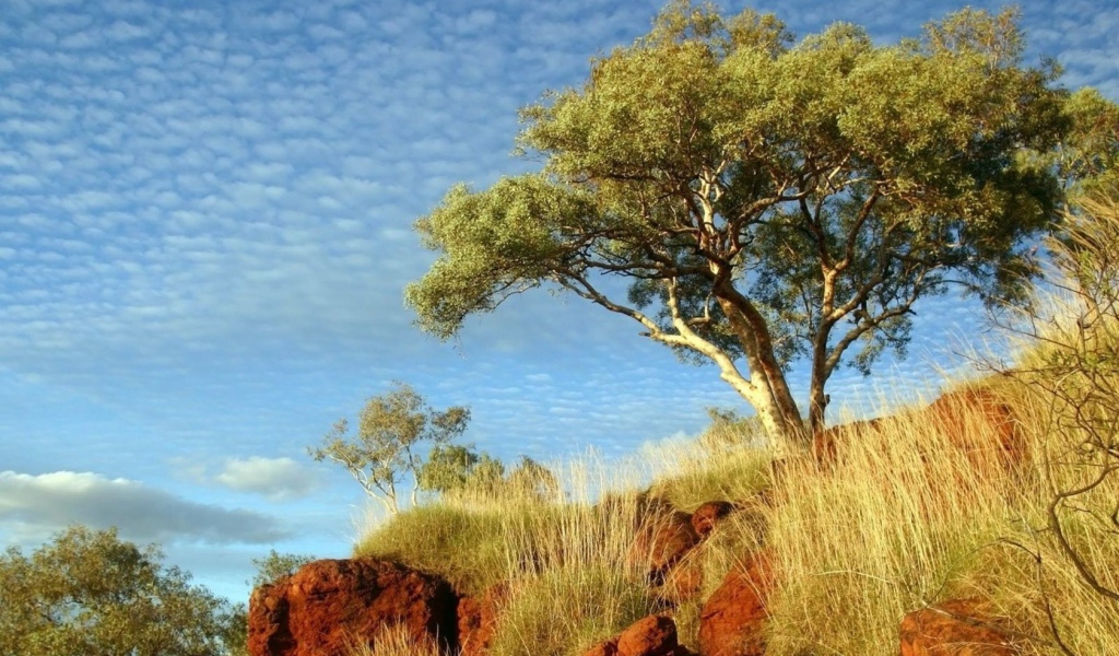 В солнечный день