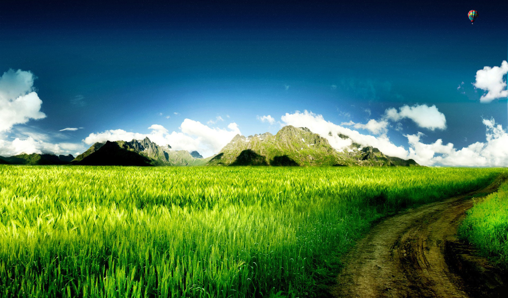 Дорога через поле