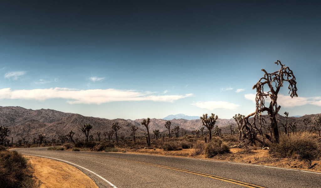 Дорога в пустыне
