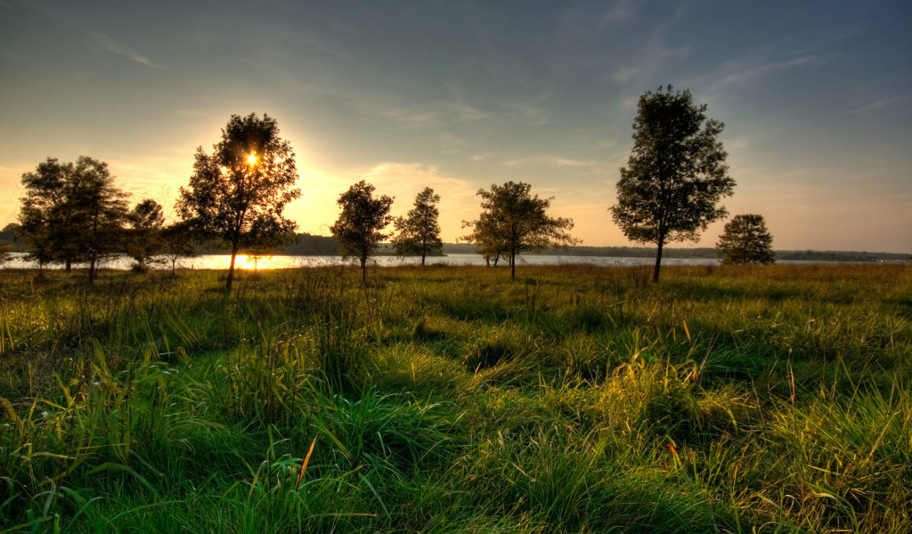 К речке по утру