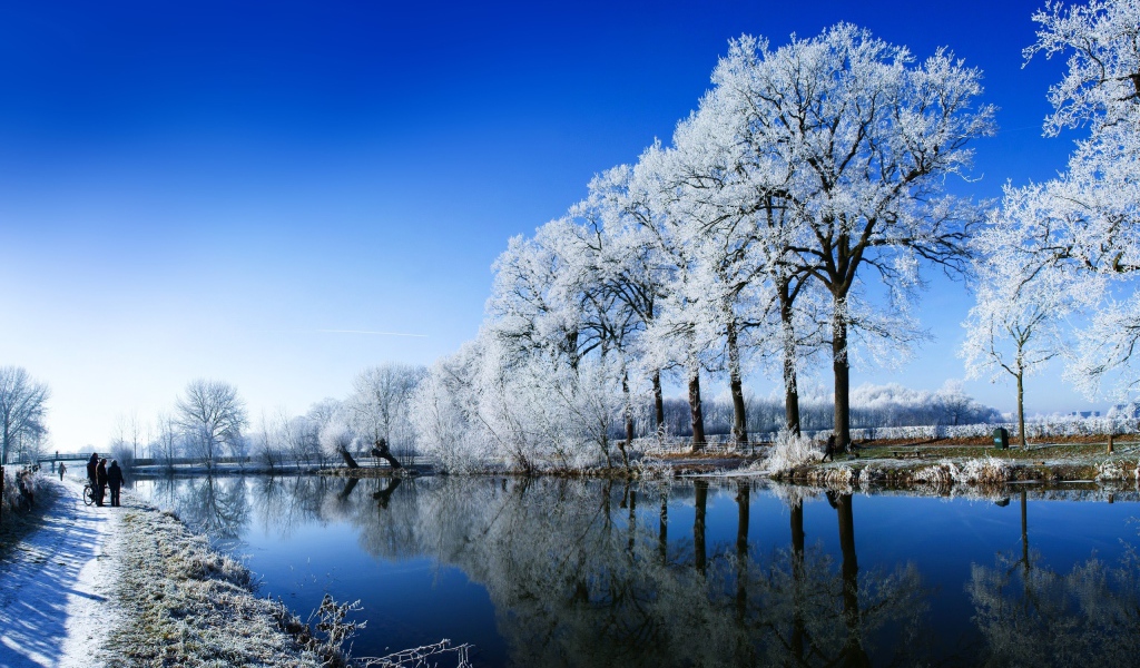 Зимняя свежесть