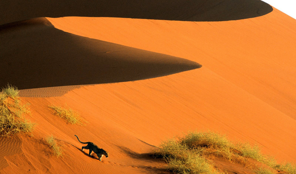 песчаные дюны