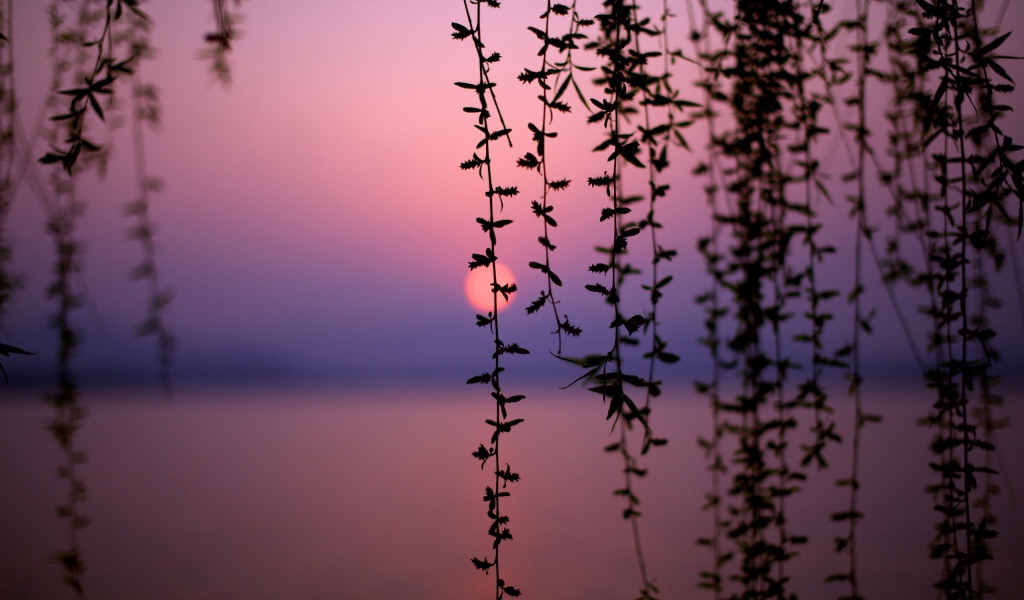 Африканский закат