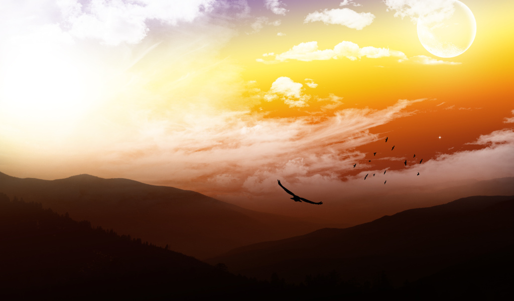 На высоте птичьего полета