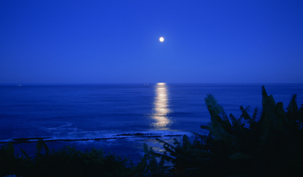 Лунная дорожка