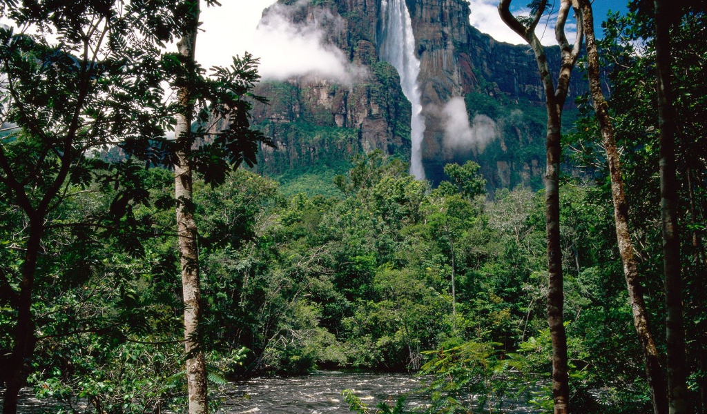 Водопад Ангела Венесуэла