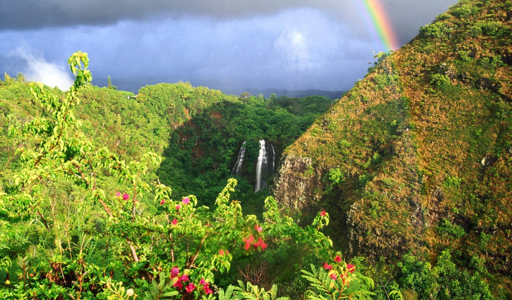 Водопад Опаека Гаваи