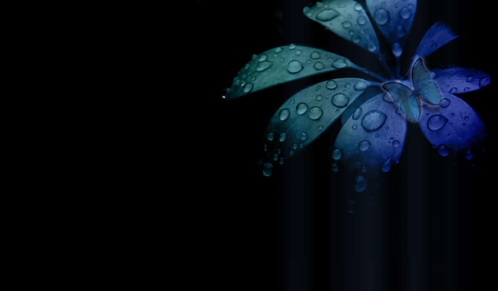 Бабочка на цветке