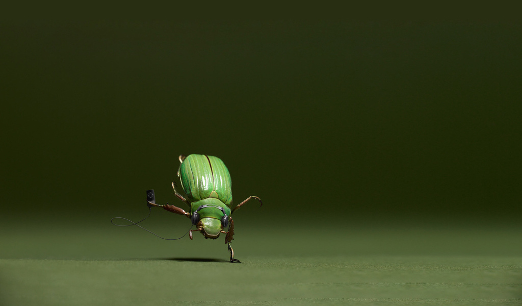 Танцующий жук