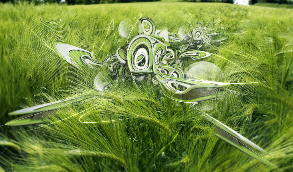 Пшеничное поле