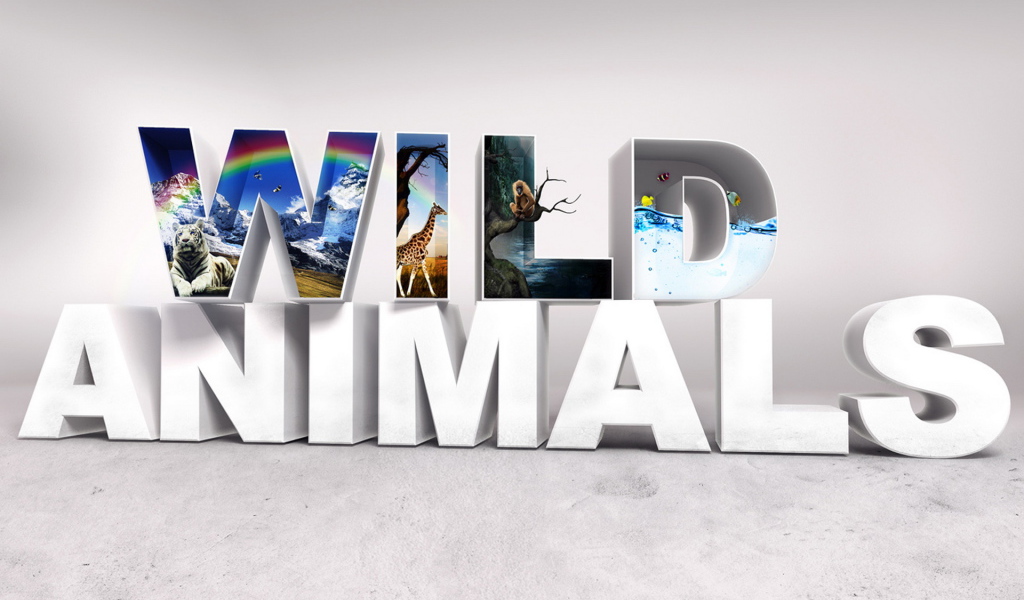 Дикие животные