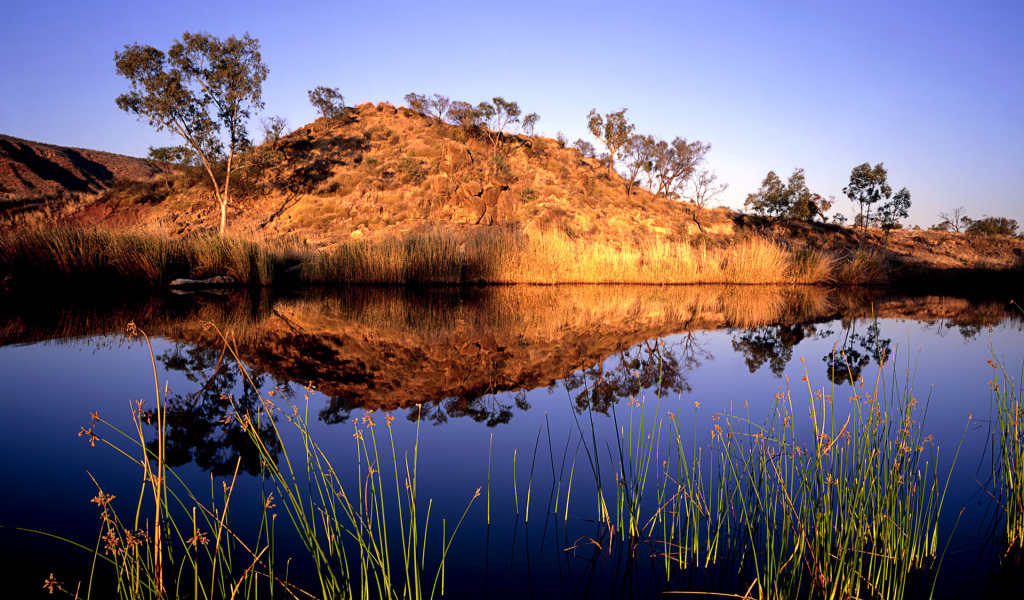 Река в Австралии
