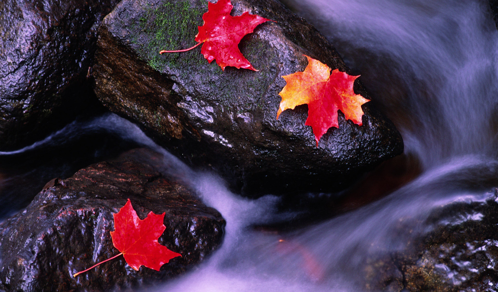 Реки Канады