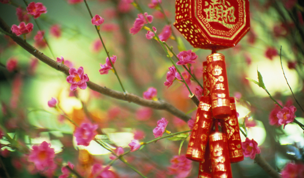 Цветущие растения в Китае