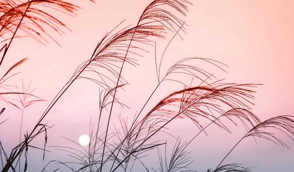 Солнечный закат в Китае