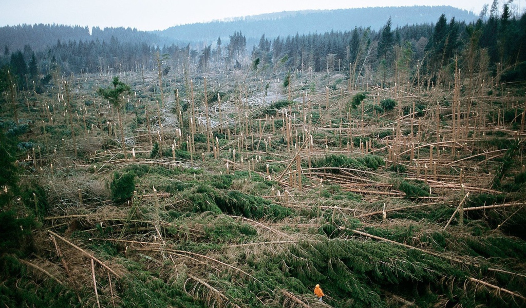 После урагана во Франции