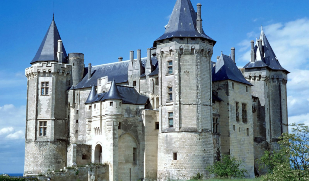 Замок Сомюр