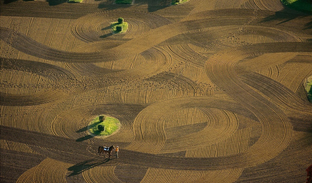 Лошадиная арена Франция