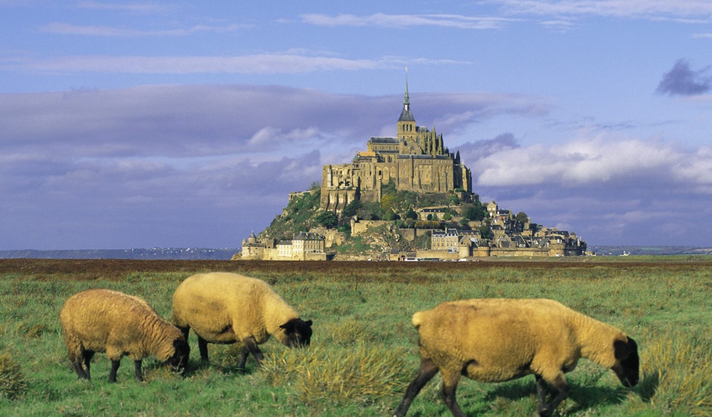 Огромный французский замок