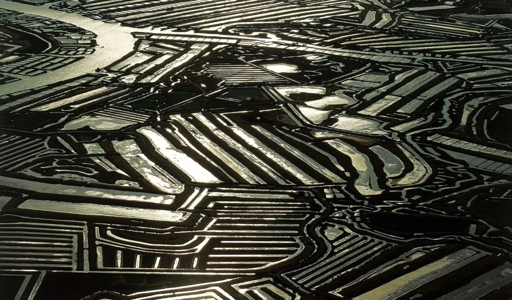 Устричные фермы