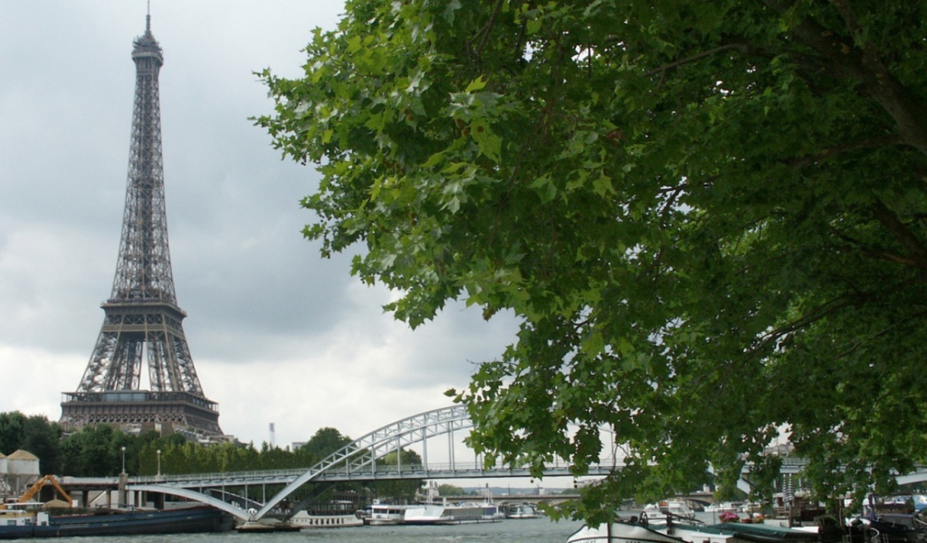 Вид на башню Париж
