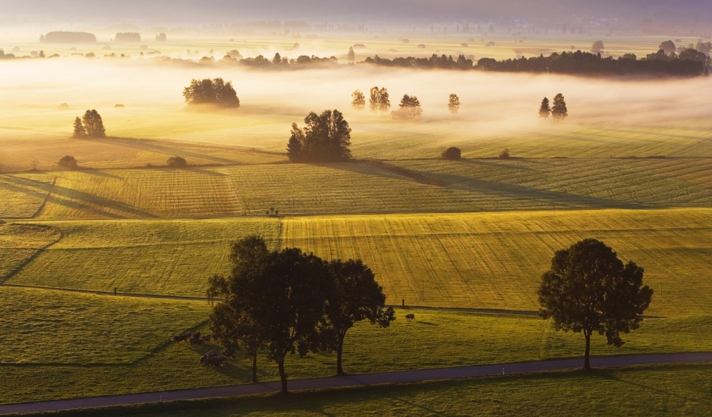 Поля в Германии