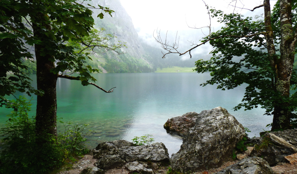 Природа Баварии